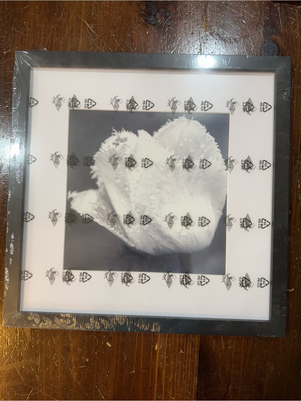 Framed Black and White Floral Wall frame- Home Accents
